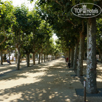 фото из отзыва ID 1077514