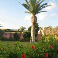 фото из отзыва ID 1077880