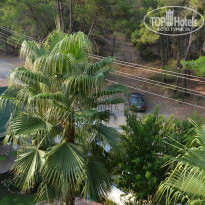 фото из отзыва ID 1078056