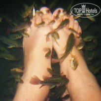 фото из отзыва ID 1078186