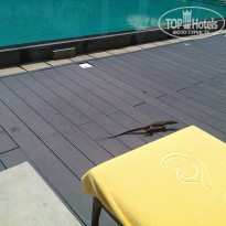 фото из отзыва ID 1078249