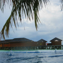 фото из отзыва ID 1077617