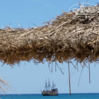 фото из отзыва ID 1078760