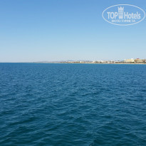 фото из отзыва ID 1078760