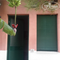 фото из отзыва ID 1078844