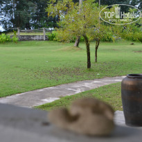 фото из отзыва ID 1078890