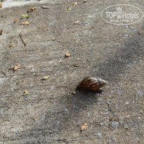 фото из отзыва ID 1078890