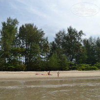 фото из отзыва ID 1078890