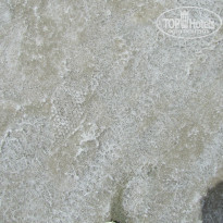 фото из отзыва ID 1079081