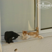 фото из отзыва ID 1079104