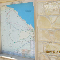 фото из отзыва ID 1079152