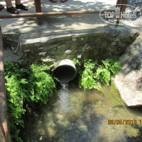 фото из отзыва ID 1079152