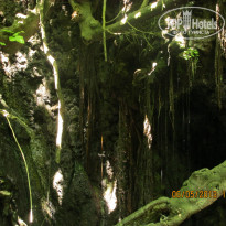 фото из отзыва ID 1079152