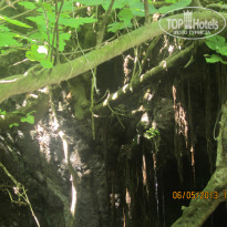 фото из отзыва ID 1079152