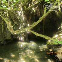 фото из отзыва ID 1079152