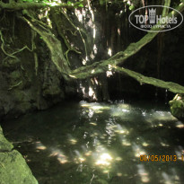 фото из отзыва ID 1079152