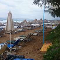 фото из отзыва ID 1079283