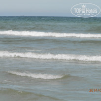 фото из отзыва ID 1078489