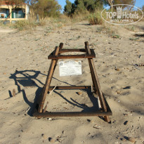 фото из отзыва ID 1079379