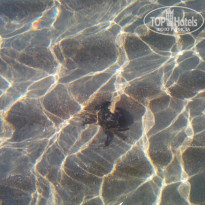 фото из отзыва ID 1079540