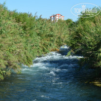 фото из отзыва ID 1079540