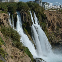 фото из отзыва ID 1079540