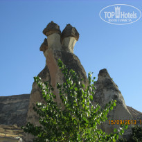 фото из отзыва ID 1079617