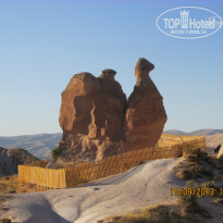 фото из отзыва ID 1079617