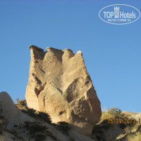 фото из отзыва ID 1079617