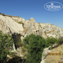 фото из отзыва ID 1079617