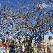 фото из отзыва ID 1079617