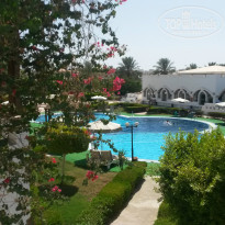 фото из отзыва ID 1079697