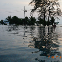 фото из отзыва ID 1079705