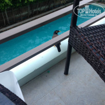 фото из отзыва ID 1075203