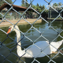 фото из отзыва ID 1070775