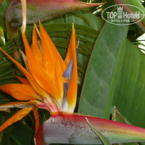 фото из отзыва ID 1073432