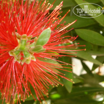 фото из отзыва ID 1073432