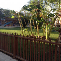 фото из отзыва ID 1079851