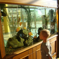 фото из отзыва ID 1070868