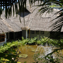 фото из отзыва ID 108097