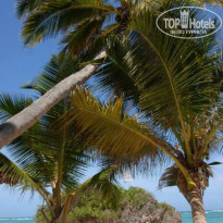 фото из отзыва ID 108097