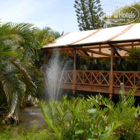 фото из отзыва ID 108097