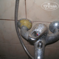 фото из отзыва ID 108240