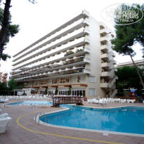 фото из отзыва ID 108275