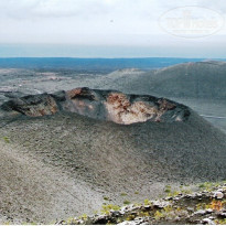 фото из отзыва ID 108656