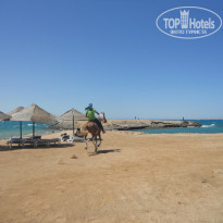 фото из отзыва ID 1080008