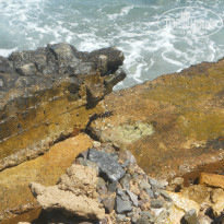 фото из отзыва ID 1080008