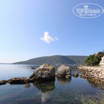 фото из отзыва ID 1080113