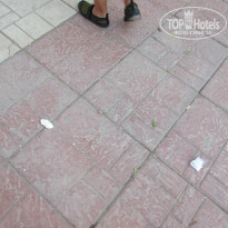 фото из отзыва ID 1080332