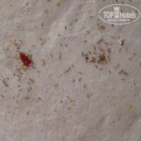 фото из отзыва ID 1080332